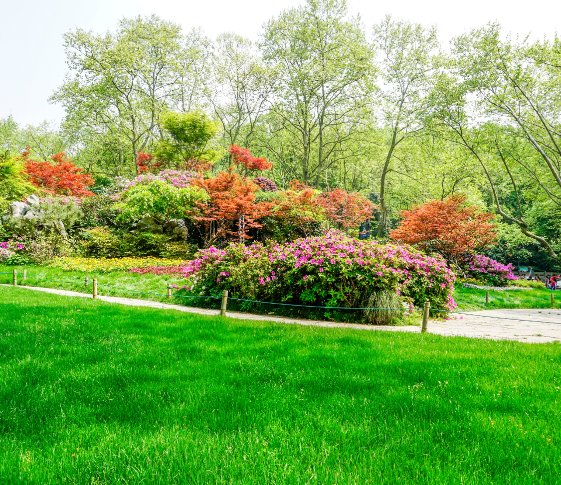 Landscape Design