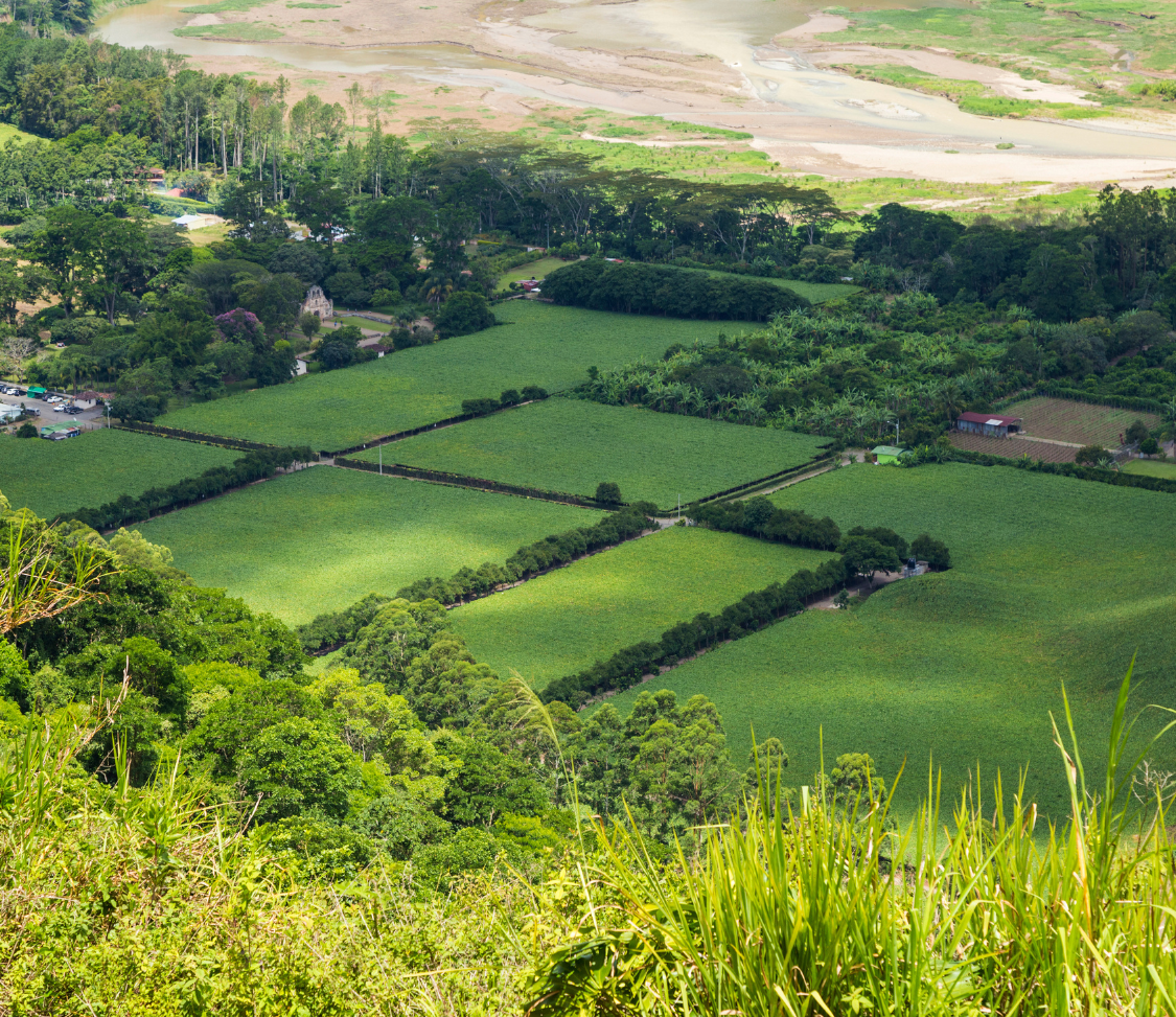 Land Rehabilitation