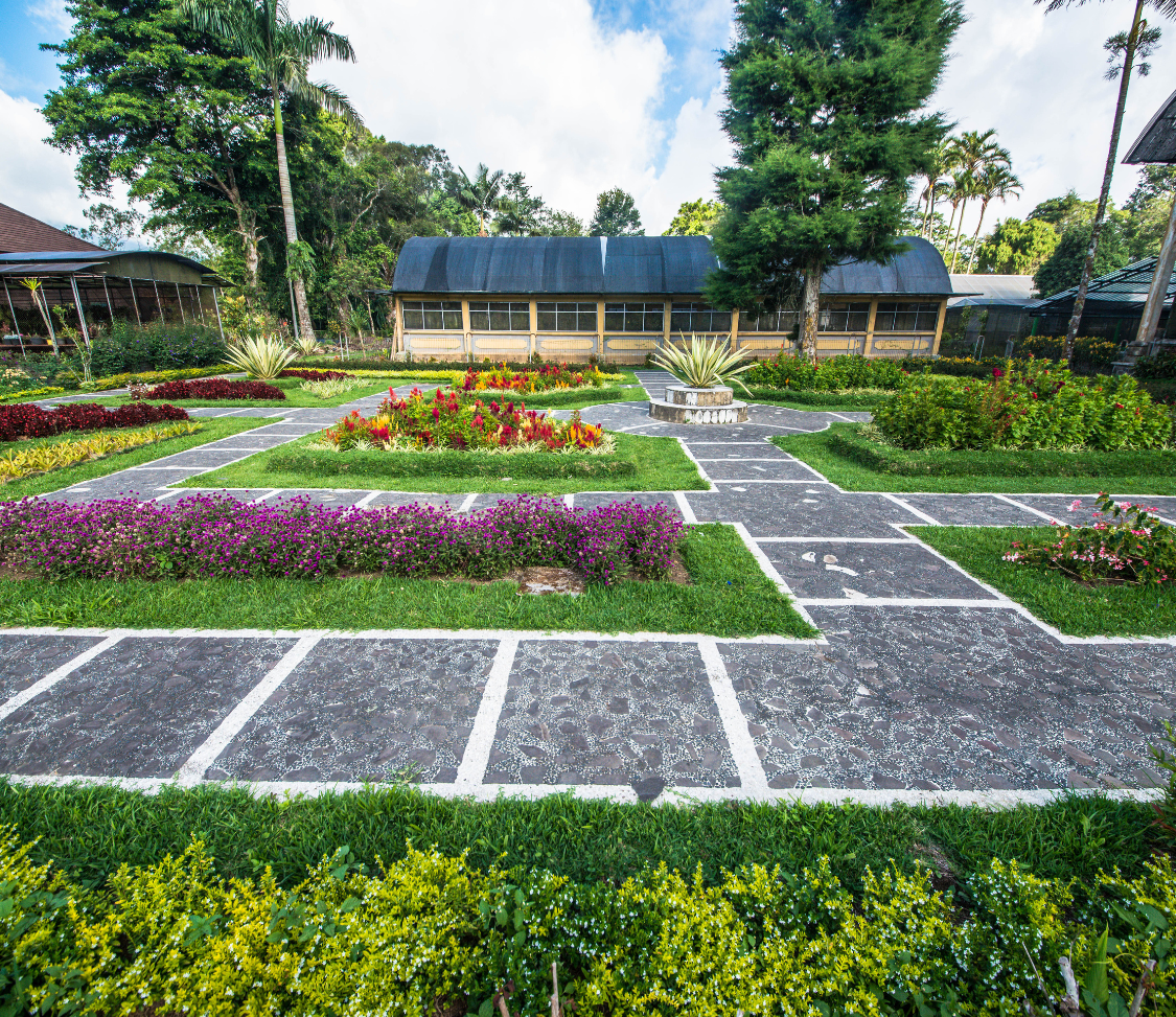 Soft Landscaping