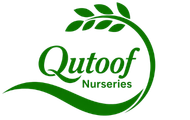 Qutoof Nurseries Logo